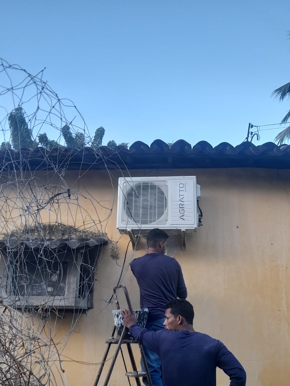 WhatsApp Image 2024-03-06 at 14.18.45 (3)