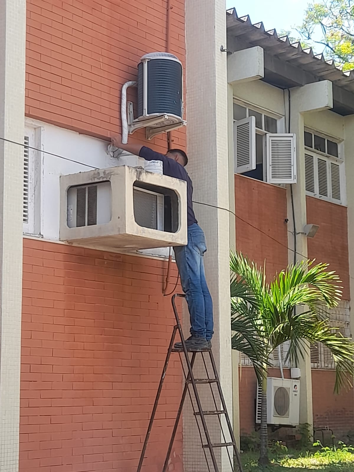 WhatsApp Image 2024-03-06 at 14.18.45