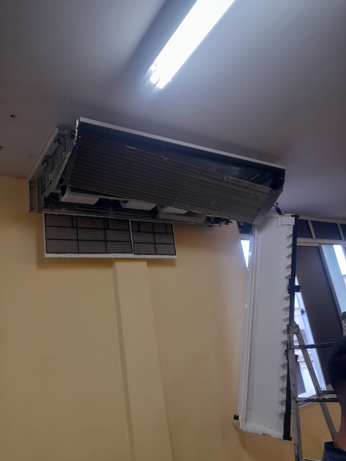 WhatsApp Image 2024-03-06 at 14.18.46